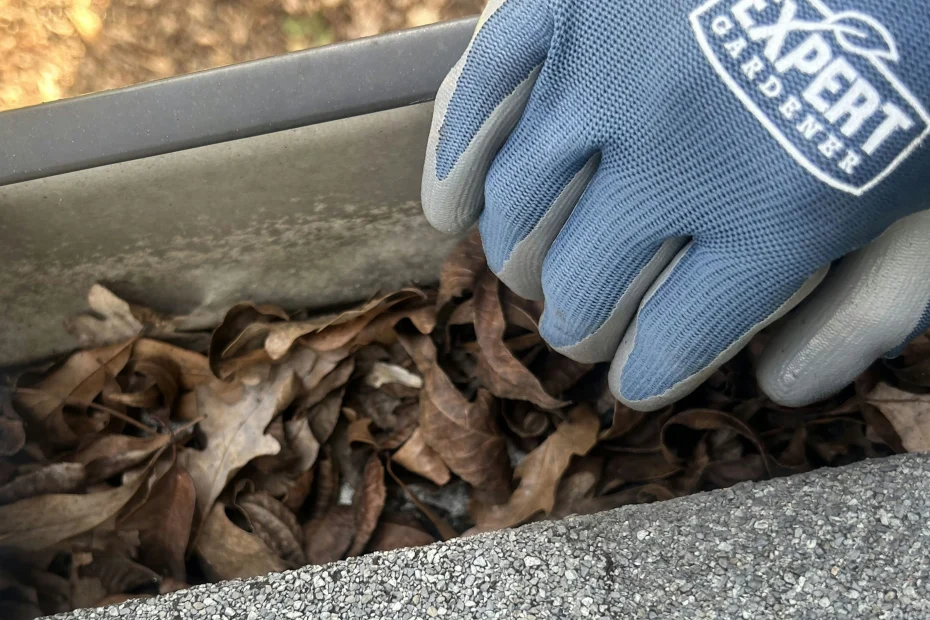 Gutter Cleaning Prospect