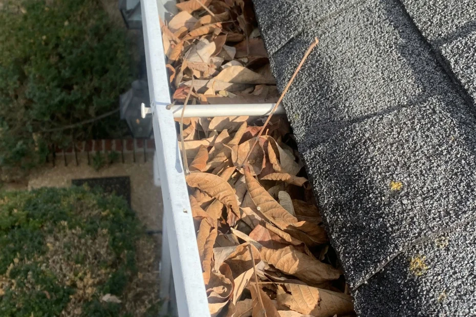 Gutter Cleaning Prospect