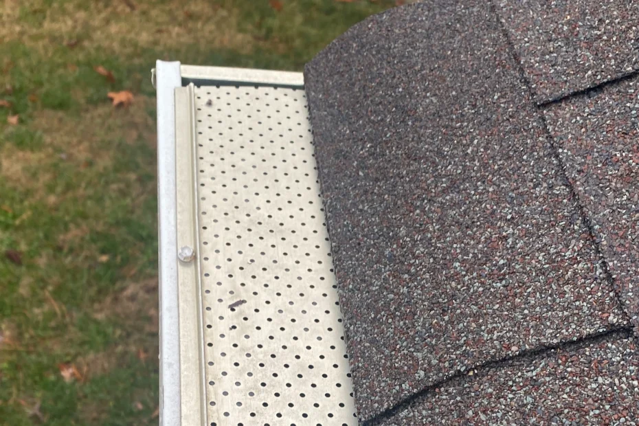 Gutter Cleaning Prospect