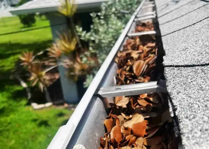 Gutter Cleaning Prospect home page